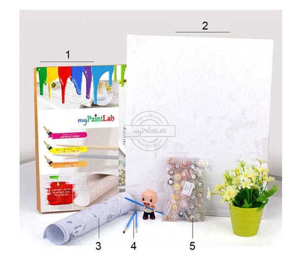 Paint by Numbers kit