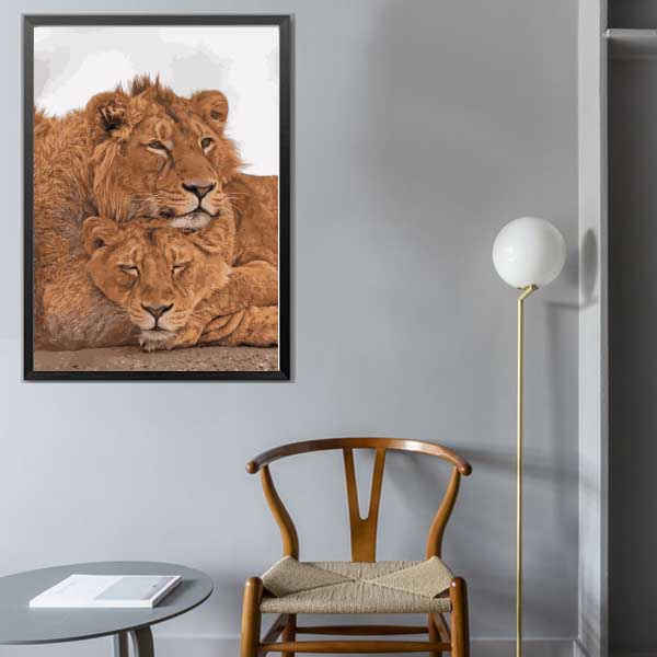 Painting by Numbers Lions Pair of animals Animal art