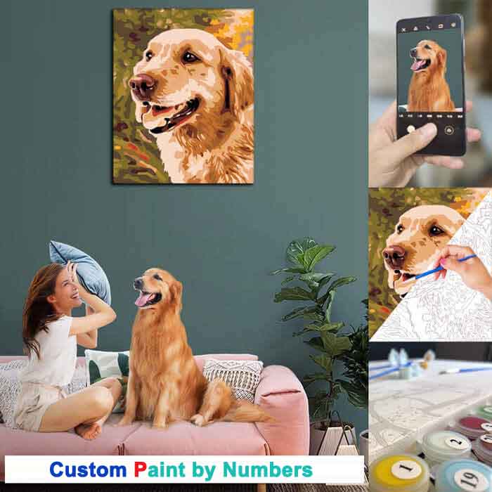 Custom Paint by Numbers Diy