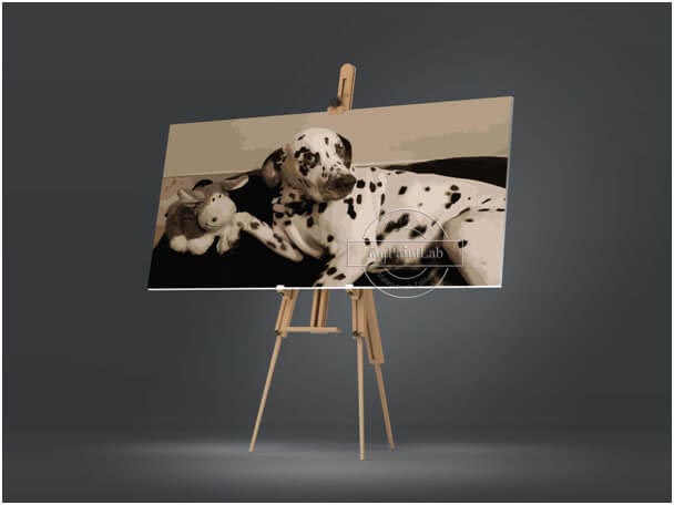Custom Paint by Numbers for Pets- DIY Painting