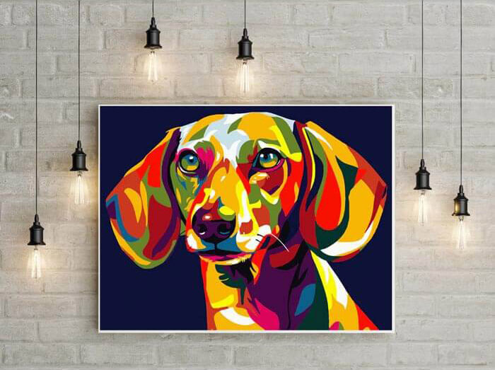 Painting by Numbers dachshund colorful dog