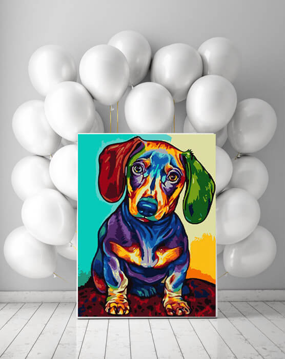 Painting by Numbers dachshund multicolored