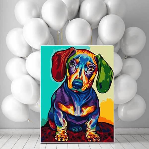 Painting by Numbers dachshund multicolored