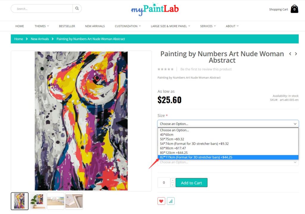 Large Paint by Numbers Kits for Adults