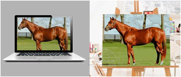 Paint by Numbers from Your Own Photo Horse